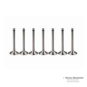 Honda Civic FD6 (2006-2012) Subap Takımı